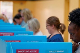 Primárias do Partido Democrata nos Estados Unidos