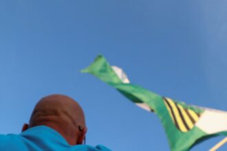 Apoiadores da AfD comemoram resultado eleitoral na Alemanha