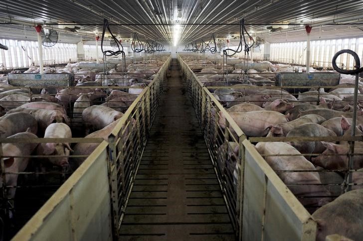 Fachada do Ministério da Agricultura e Pecuária em Brasília