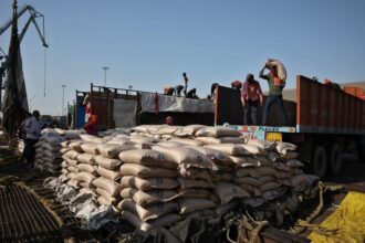Plantação de cana-de-açúcar no Brasil