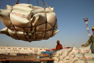 Grãos de soja em contexto de mercado agrícola