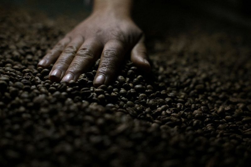 Café arábica brasileiro destinado a estoques certificados da ICE