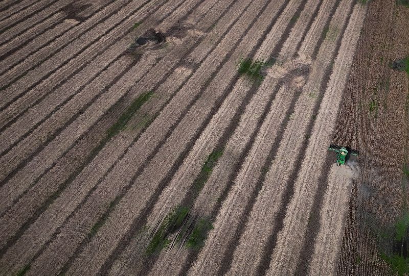 Lavoura de soja em Mato Grosso durante o início do plantio