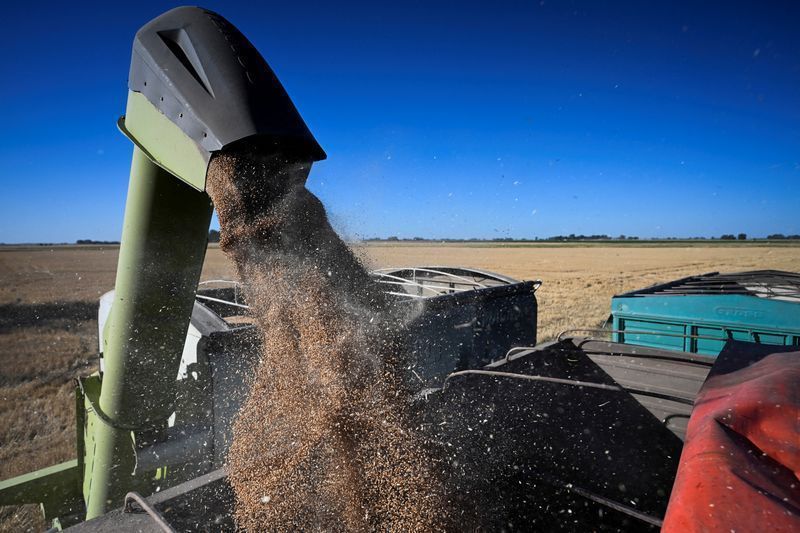 Plantação de grãos na Argentina