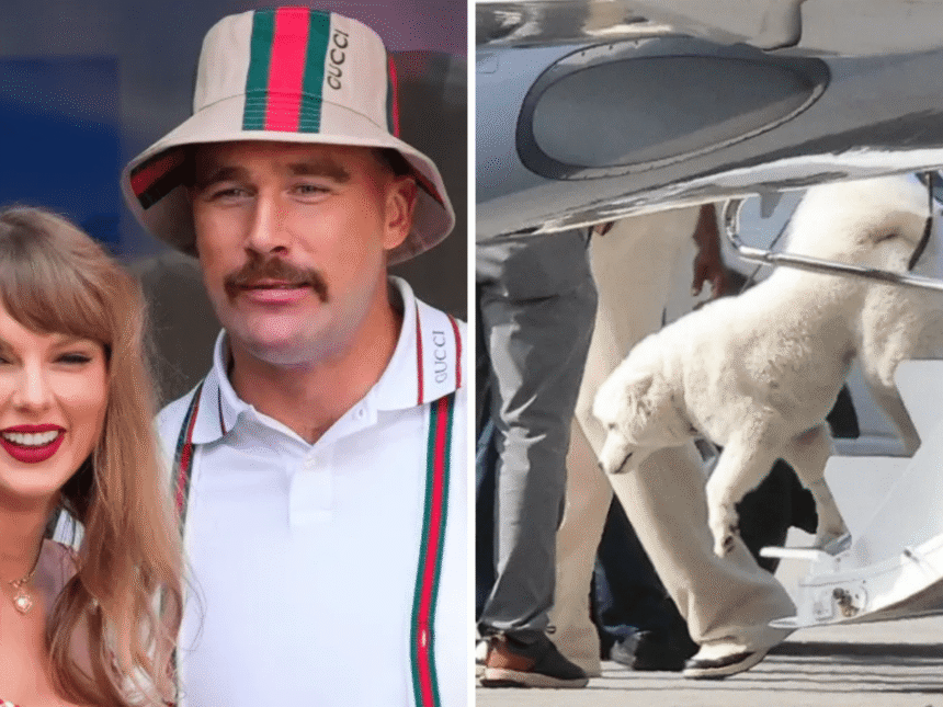 Taylor Swift e Travis Kelce são pais de um novo cachorro