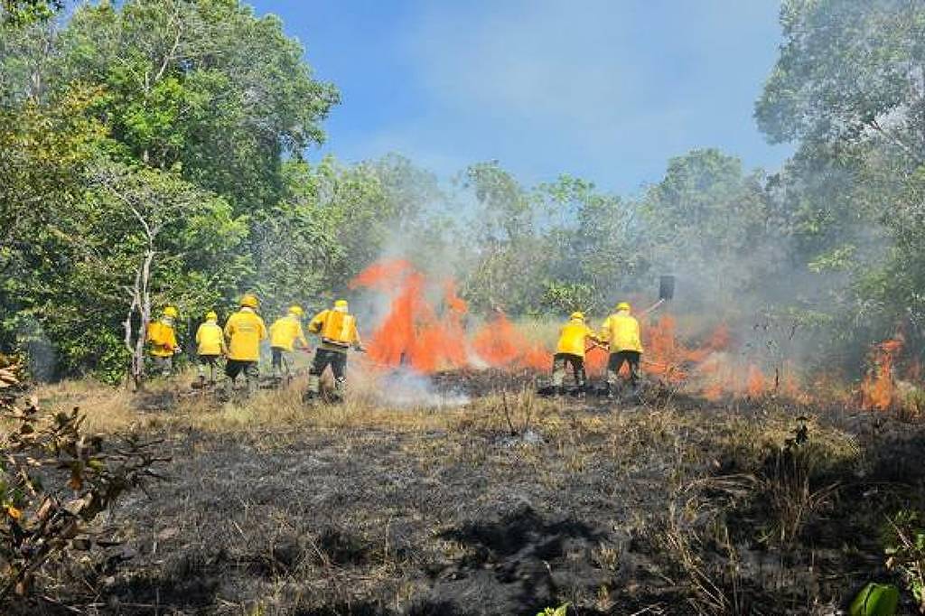 Indígenas reforçam prevenção contra seca e fogo causados pelo El Niño