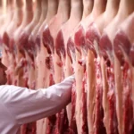 Carne bovina brasileira