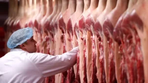 Carne bovina brasileira