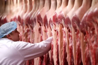 Carne bovina brasileira