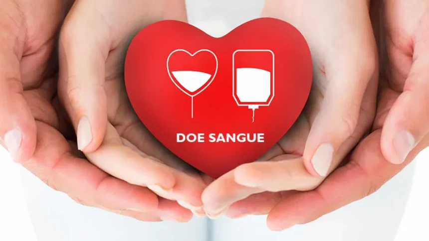 Bolsa de sangue em ambiente de hemocentro
