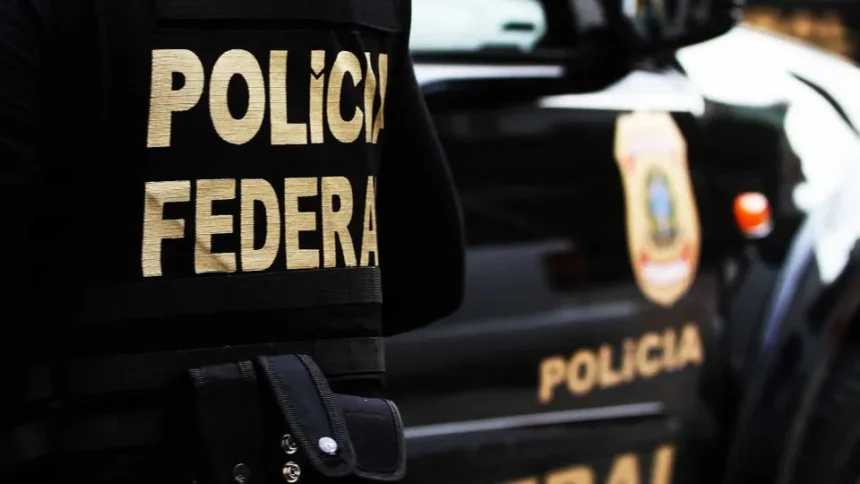 Viaturas da Polícia Federal em operação policial