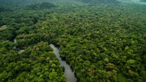 Amazônia e Cerrado têm menor desmatamento das séries históricas