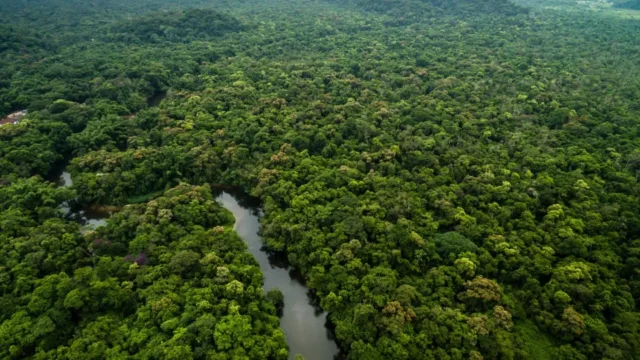 Amazônia e Cerrado têm menor desmatamento das séries históricas