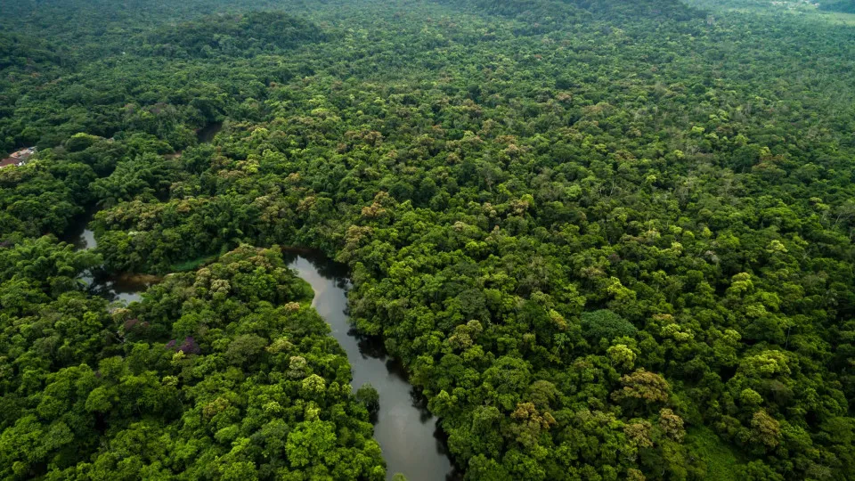 Amazônia e Cerrado têm menor desmatamento das séries históricas